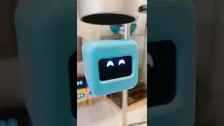 Flying Ortomi robot 