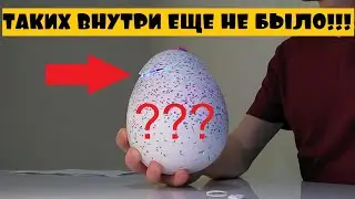 Обзор игрушки интерактивный Хэтчи малыш Хэтчималс Hatchimals Hatchibabies Spinmaster