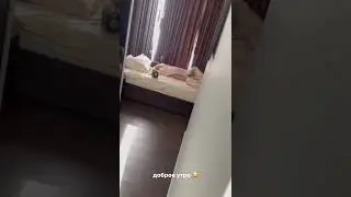 Литвин будит свою девушку🤣