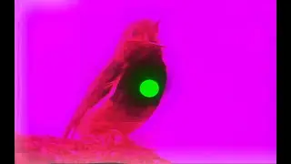 Shake The Cage (für Theo) SLAM Extended Remix