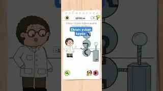brain test 4 (seviye 44) 