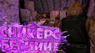 ШОУ ТАЛАНТОВ В Stalker RP [Mysterious Zone]