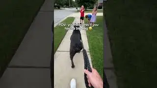 Comment “DOG” if you want one! 🤣🐶 