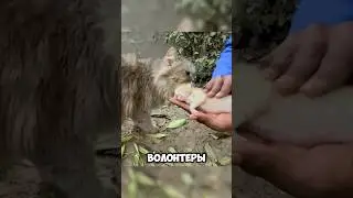 СЕРДЦЕ РАЗРЫВАЕТСЯ😭