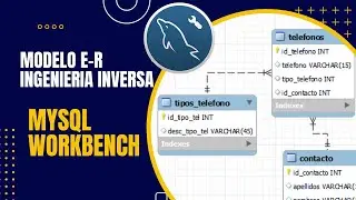 Cómo Generar diagrama Entidad Relación en MySQL Workbench👌- Fácil 2024