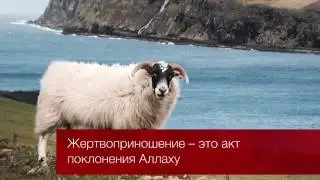 Жертвоприношения - Надир абу Халид