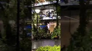 Doha Airport Forest #shorts #doha #qatar #qatarairways #travel #travelvlog