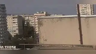Атака на голубей.