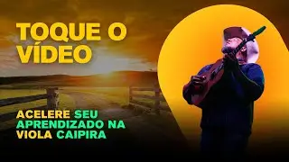 Live de Lançamento TPT