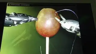 Surgery on a grape Behind The Scenes