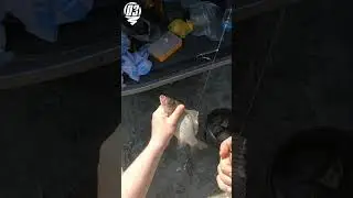 Рыбалка на карася. Май 2024 г.