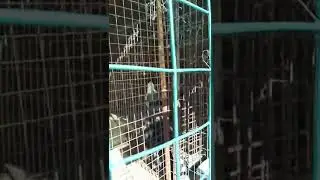 Когда сказали что полналуние завтра😂😂😂