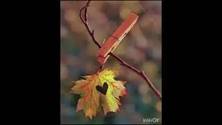 Liebevolle Gedanken 🍂💝🍁