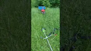 Ресторан 