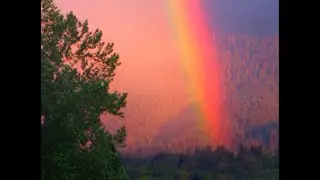 The Rainbow - LIVE music short film from Vancouver BC - Hollywood North -- 001 -011623-01