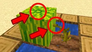 Melons in Minecraft make 0 sense.