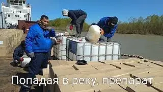 Масштабная кампания против мошки стартовала в Павлодарской области