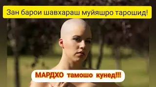 Киссаи 
