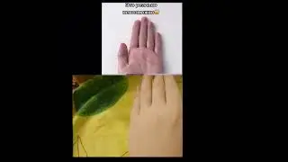 #short