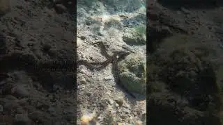 they are coming