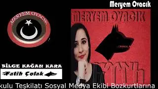 HEY GÖKBÖRÜ  / GÖKTÜRK KANI /GRUP GÖKTÜRKLER /BİLGE KAĞAN KARA