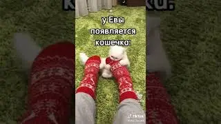подборка из тик-ток улей ❤️💖💚💜 