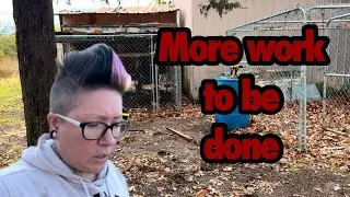 A Huge FAIL! | LARGE Family Homesteading
