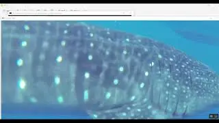 Single Image Dehazing Based on Detail Enhanced Convolution and Content Guided Attention