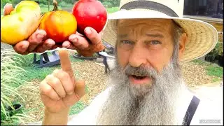 DEADLY TOMATOES?!? I made em that way....