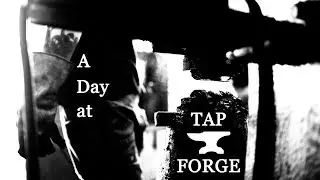 A Day at TAPFORGE