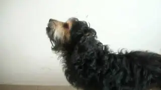 Hablando Con Jack