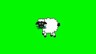 Sheep Green Screen Effects