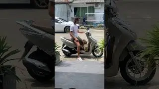Remy Rides First Class on the Scooter 🐶🩷 | How to cruise with your dog on a scooter in Thailand