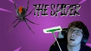 The Spider In my Room