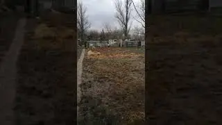 31 марта 2021 г.