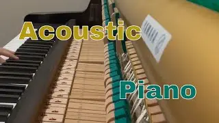 Playing Schumann 