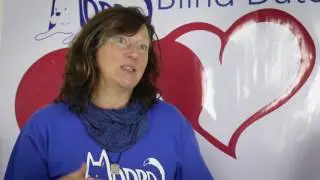 Madra Doggy Blind Date Trailer