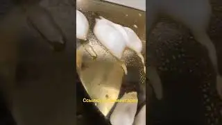 Средство для полировки фар