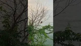 Мы живём в мире ненависти и алчности..