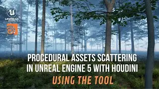Procedural Assets Scattering in Unreal Engine 5 with Houdini: Using the Tool  #ue5  #houdini