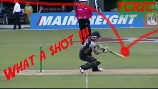 Scoop Shots Of Cricket