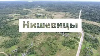 Нишевицы Торопецкий район