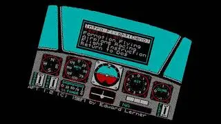 Flight Simulator Fun