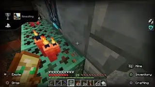 I opened THE Minecraft Vault