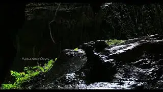 Nature Rain sound and ASMR Relaxing sound