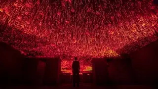 Immersive Art Installation by TUNDRA