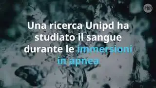 Una ricerca Unipd ha studiato il sangue durante immersioni in apnea