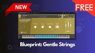 NEW FREE Blueprint: Gentle Strings by Fracture Sounds - Sound Demo