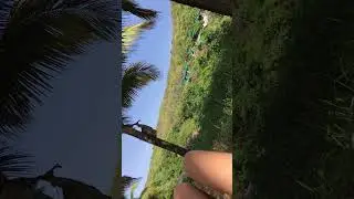 Свит лэйк Арамболь Гоа