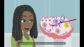 Elementary Science Class 7: Reproduction in Plants